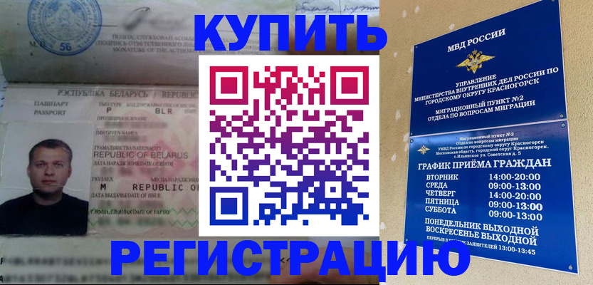 прописка законно в Змеиногорске